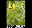 2001.06.07