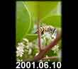 2001.06.10