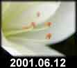 2001.06.12