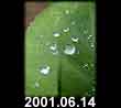 2001.06.14