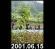 2001.06.15