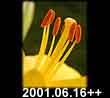 2001.06.16