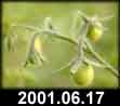 2001.06.17