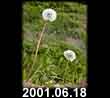 2001.06.18
