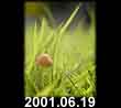 2001.06.19