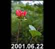 2001.06.22