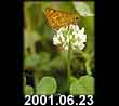 2001.06.23