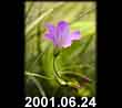 2001.06.24