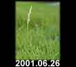 2001.06.26