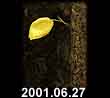 2001.06.27