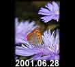 2001.06.28