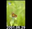 2001.06.29