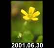 2001.06.30