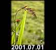 2001.07.01