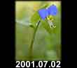 2001.07.02