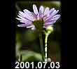 2001.07.03