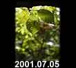 2001.07.05
