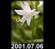 2001.07.06