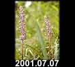 2001.07.07