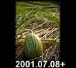 2001.07.08