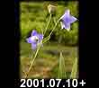 2001.07.10