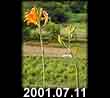 2001.07.11