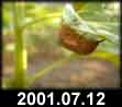 2001.07.12