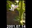 2001.07.14