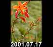 2001.07.17