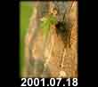 2001.07.18