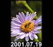 2001.07.19