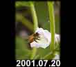 2001.07.20