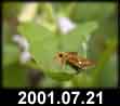 2001.07.21