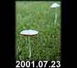 2001.07.23