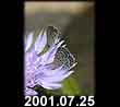 2001.07.25