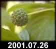2001.07.26