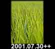 2001.07.30