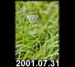 2001.07.31