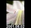 2001.08.02