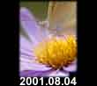 2001.08.04