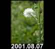 2001.08.07