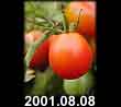 2001.08.08