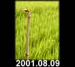 2001.08.09