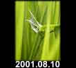 2001.08.10
