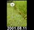 2001.08.11