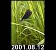 2001.08.12