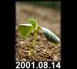2001.08.14