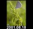 2001.08.18
