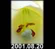 2001.08.20