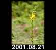 2001.08.21